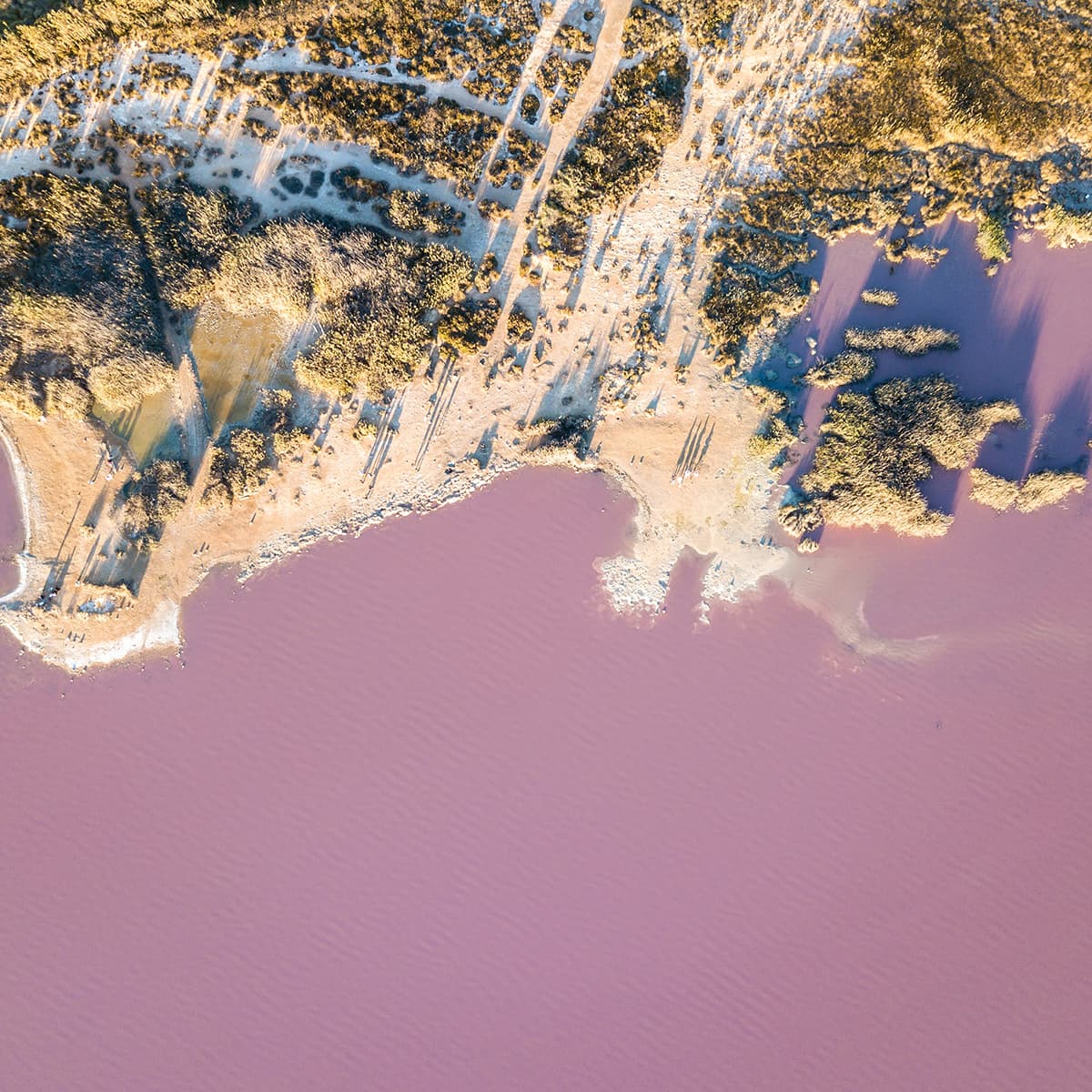 The pink salt marshes of Torrevieja